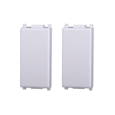 ETTROIT FALSO POLO 1 MODULO (2PZ) - SERIE STARLIGHT - BIANCO (EV0100) Compatibile Vimar Plana